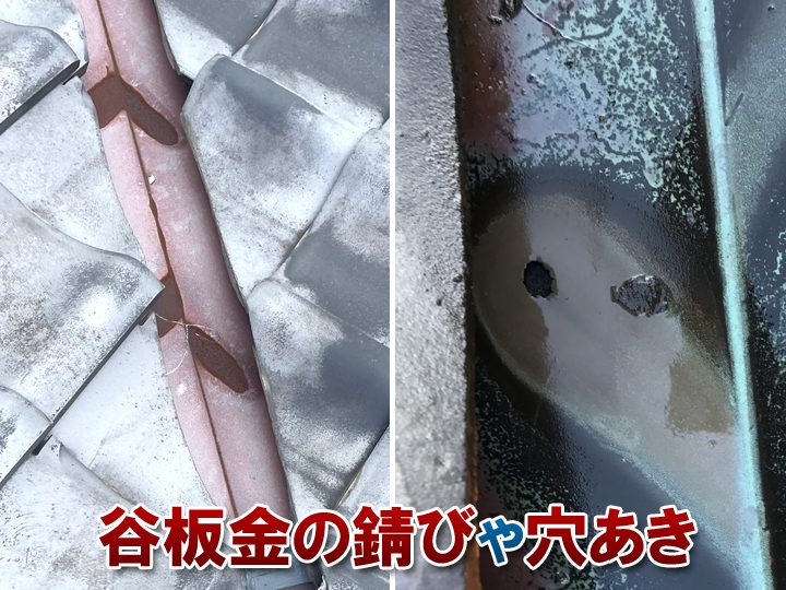 ブログタイトル