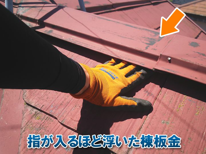 ブログタイトル