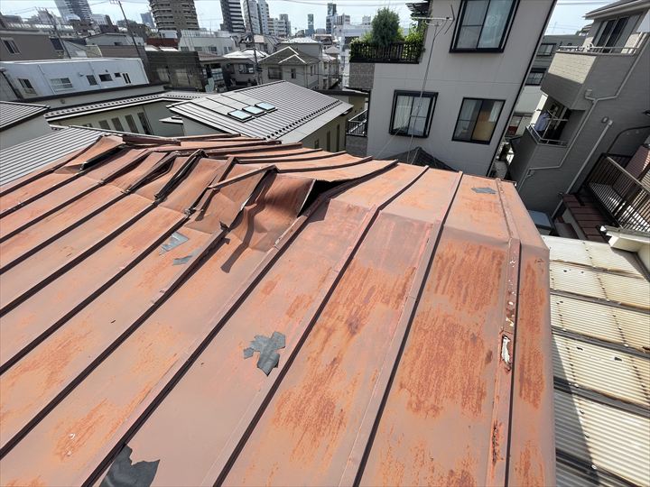 現地調査の様子