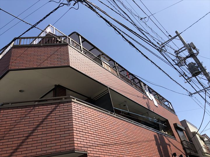 調査場所の様子