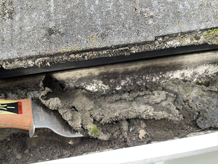 雨樋清掃の様子