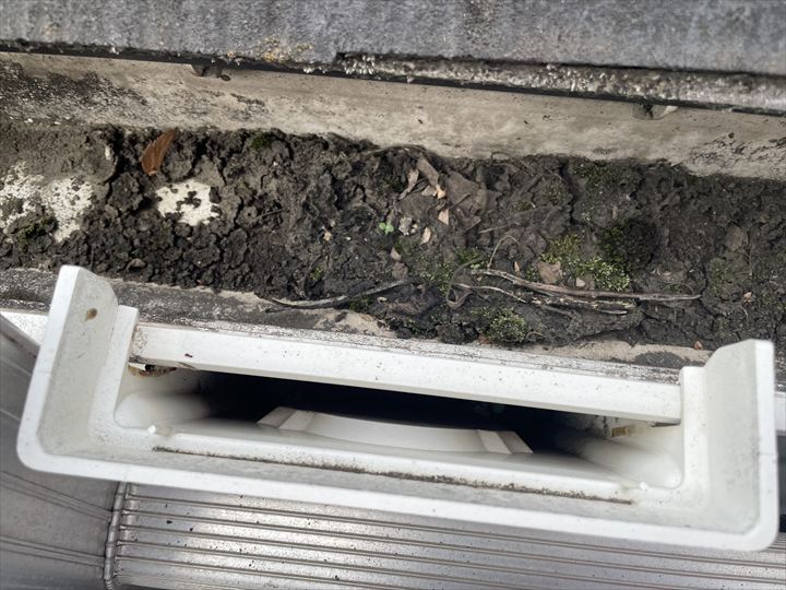 軒樋の汚れが詰まっている様子