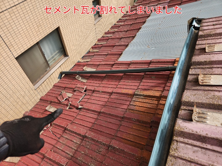 ブログタイトル