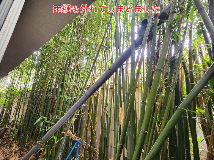 雨樋が外れています