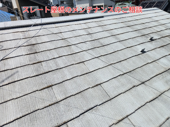スレート屋根の現地調査