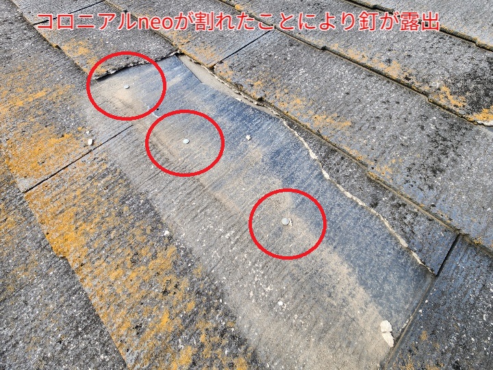 コロニアルneoが割れて釘が露出