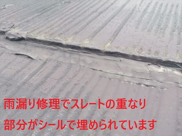 ブログタイトル