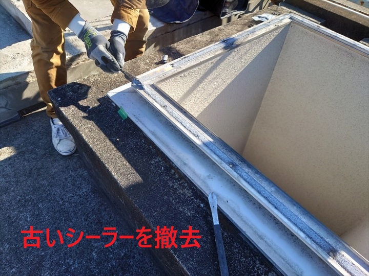 古いシーラー除去