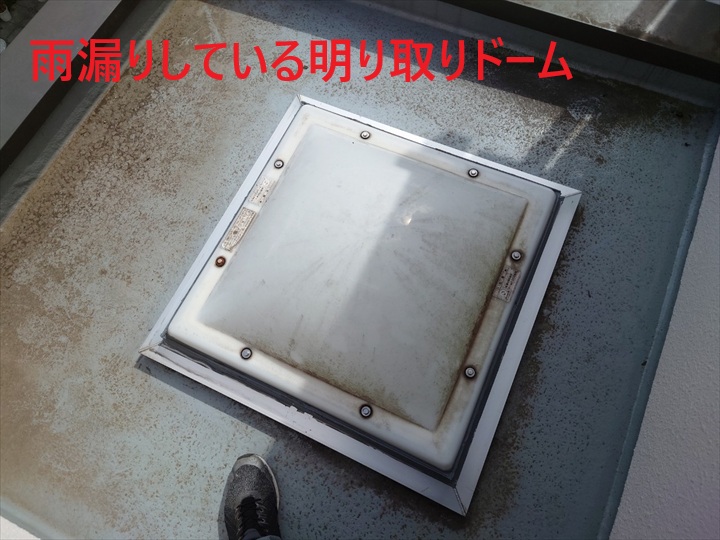 ブログタイトル