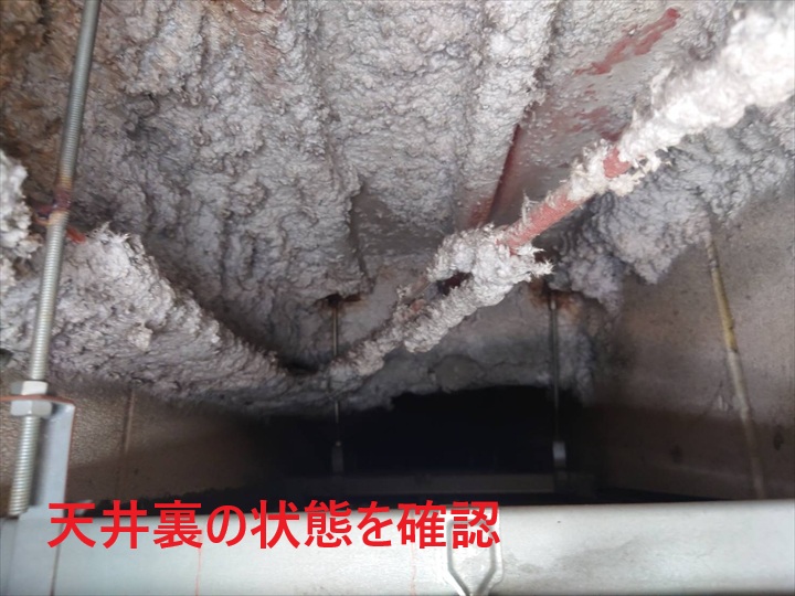 天井裏を確認
