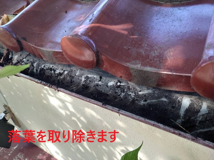 落葉除去