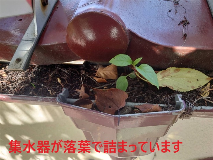 詰まった集水器