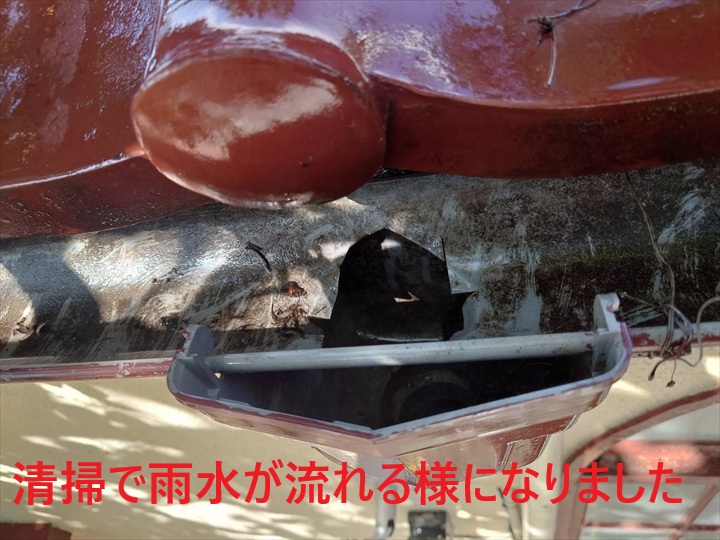 清掃後