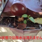 集水器部分