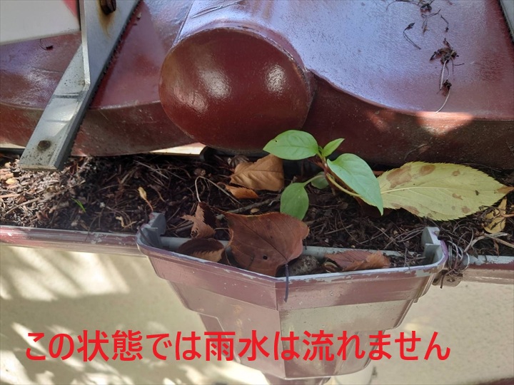 集水器部分