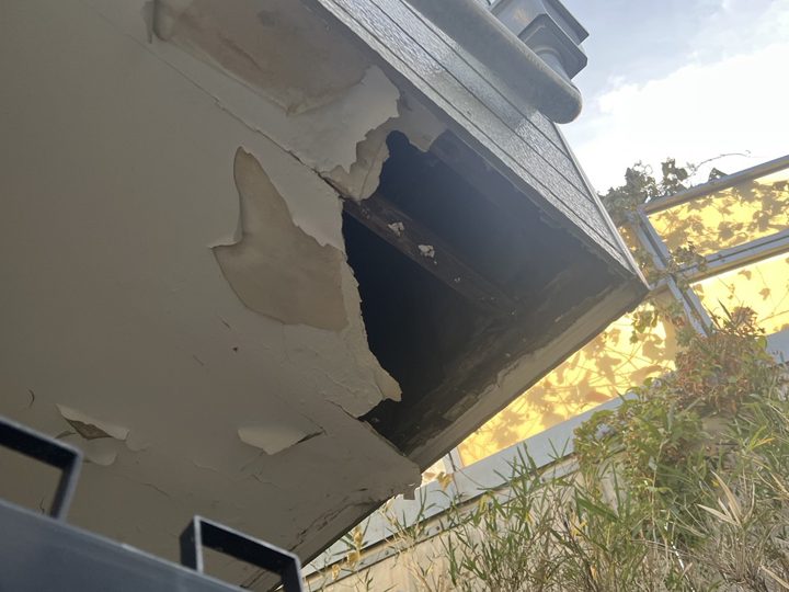 ブログタイトル