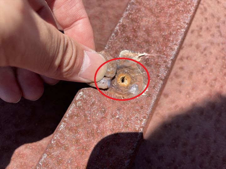 防水処理劣化による穴