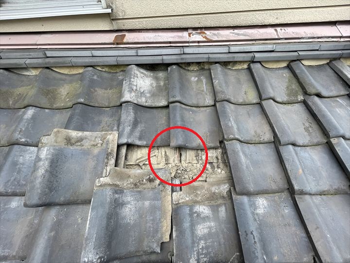 瓦のズレ