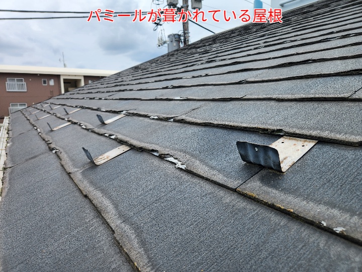 パミールが葺かれている屋根