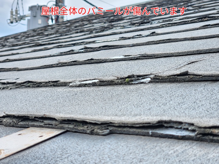屋根全体のパミールが傷んでいます