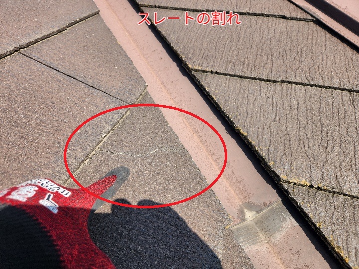 ブログタイトル