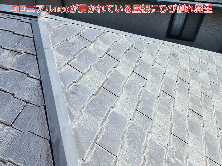 コロニアルneoが葺かれている屋根調査