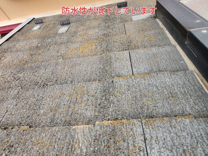 コロニアルneoの防水性が低下