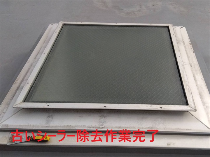 シーラー除去完了