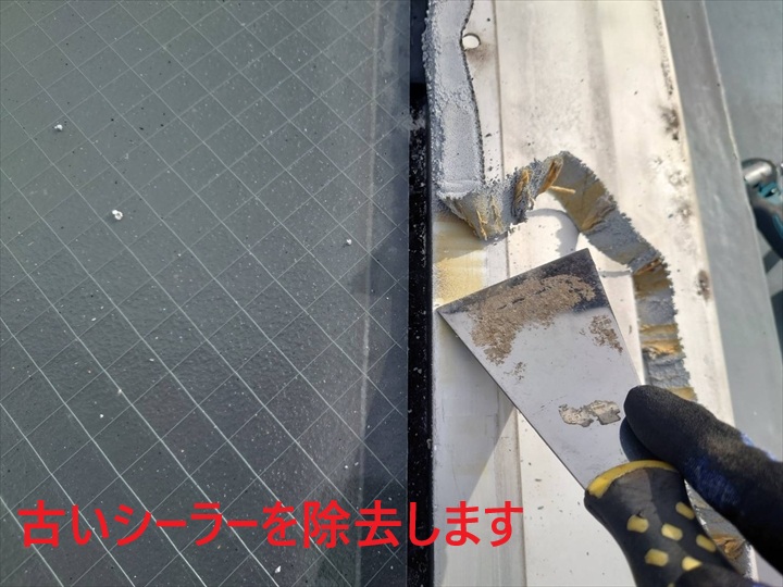 シーラーの除去
