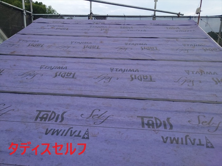 タディスセルフ