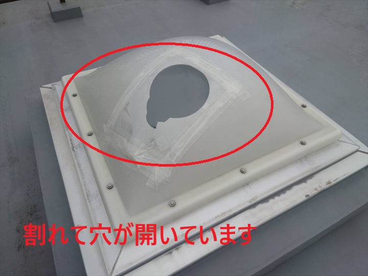 ブログタイトル