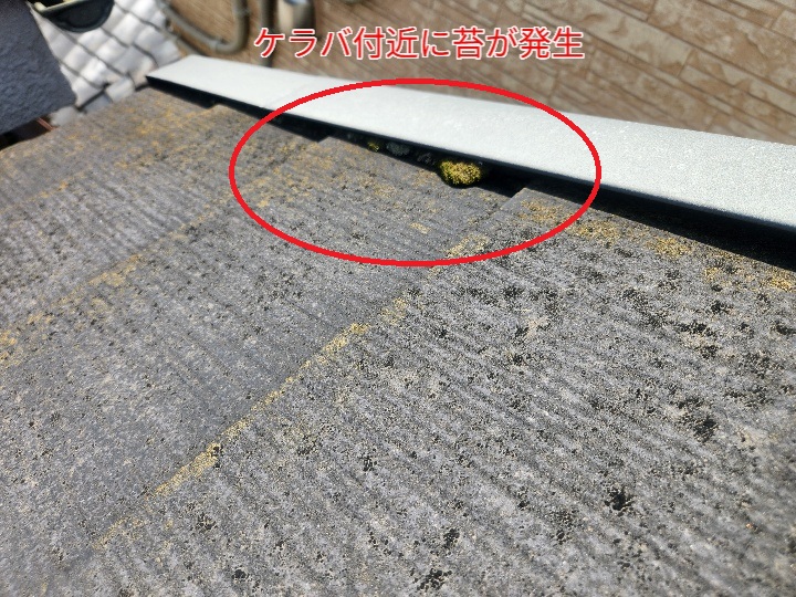 スレート屋根のケラバ付近に苔が発生