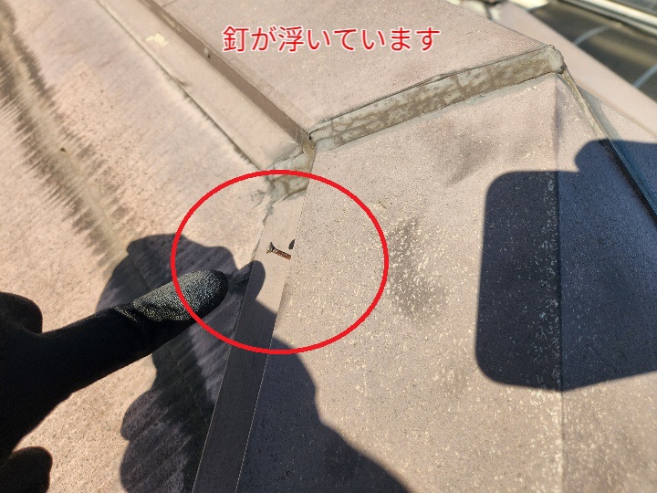 棟板金の釘が浮いています
