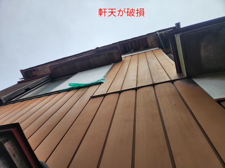 ブログタイトル