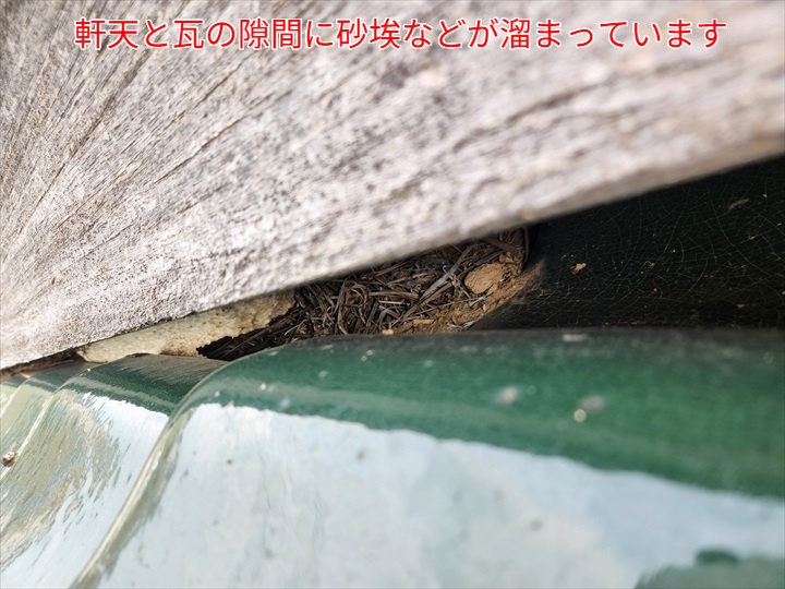 軒天と瓦の隙間に枯葉等が滞留