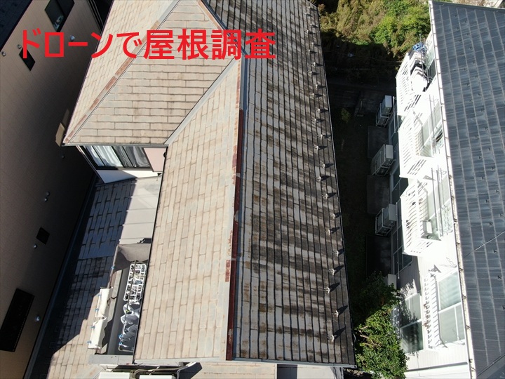 ブログタイトル