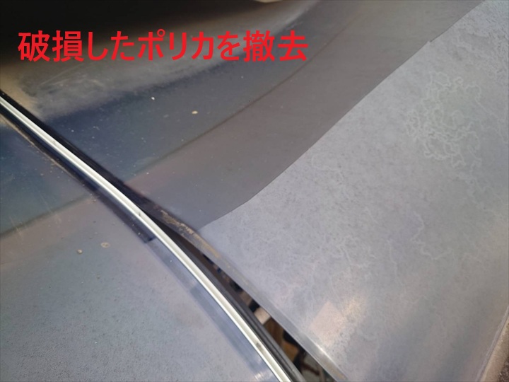 破損したポリカ撤去