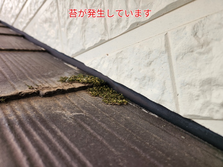 スレート屋根の苔