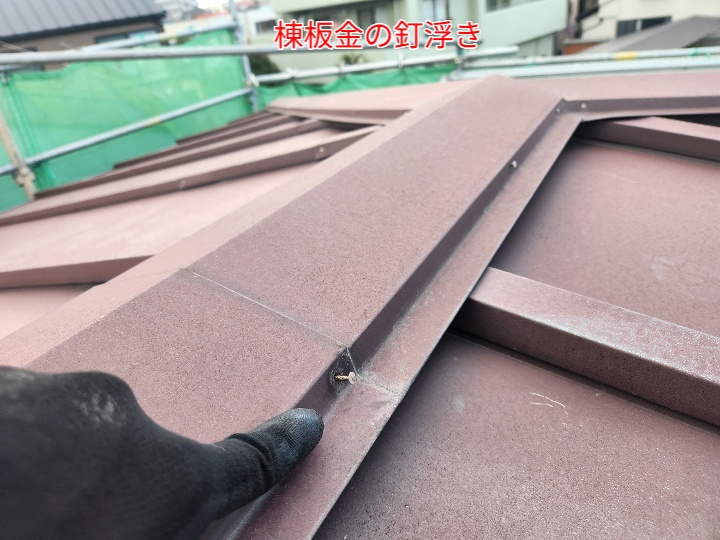 ブログタイトル