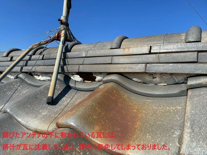 瓦の錆