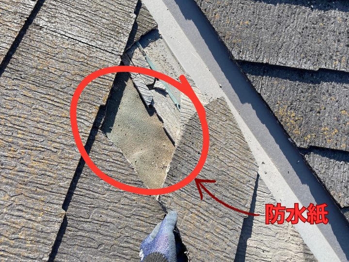 防水紙が露出している様子
