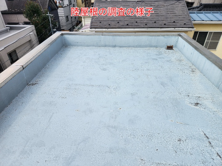陸屋根調査