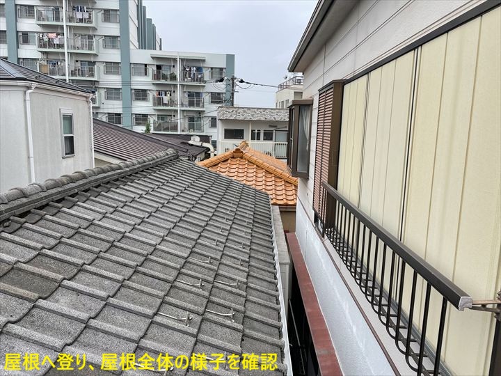 屋根全体の様子