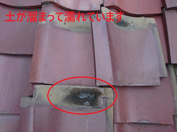 土が溜まっています