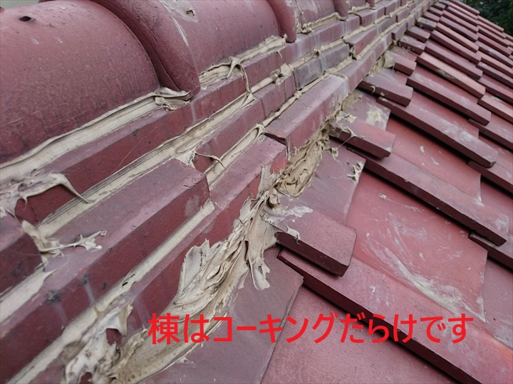 棟瓦の状態