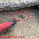 野地板には穴開きが見受けられました。