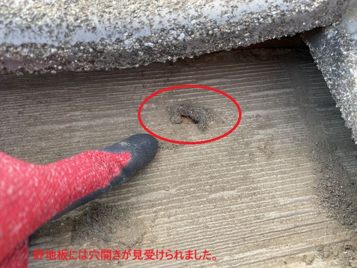 野地板には穴開きが見受けられました。