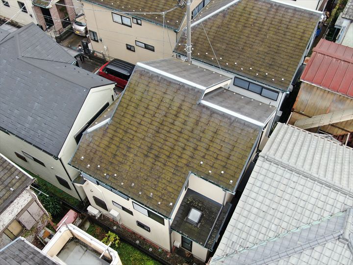 現地調査の様子