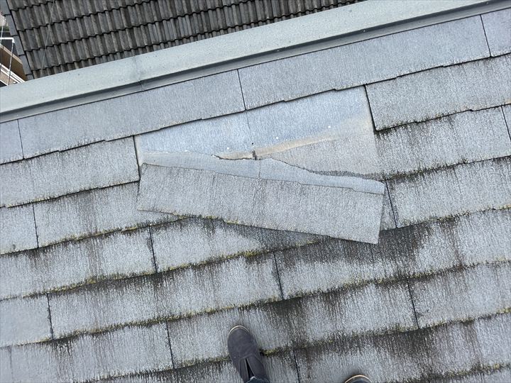 ブログタイトル