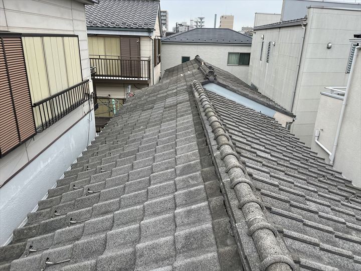 現地調査の様子